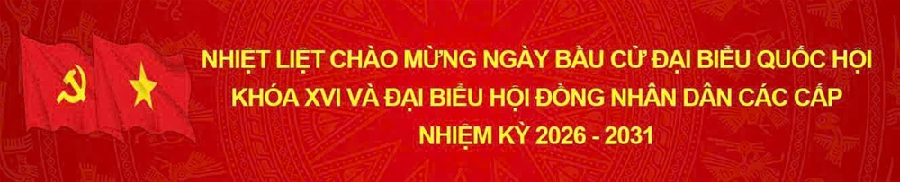 Bầu cử Đại biểu Quốc hội
